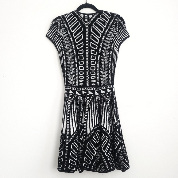 Torn By Ronny Kobo Vivienne Y2K Jacquard  Knit Mini Dress - Picture 10 of 11